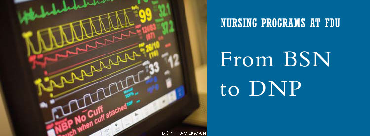 Nursing Programs at FDU: From BSN to DNP
