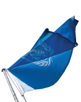 Image: U.N. Flag